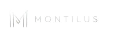 Montilus — Analyse de crédit